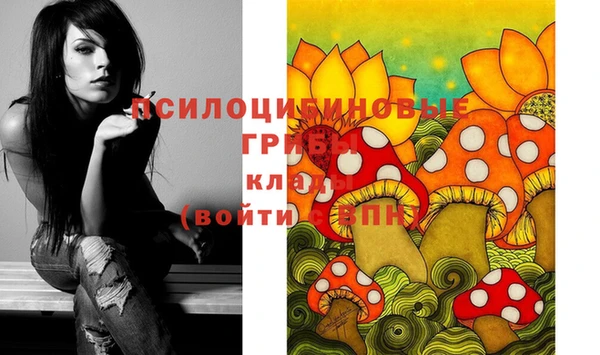 дурь Бугульма
