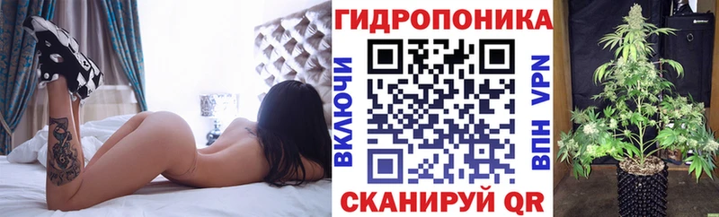Шишки марихуана AK-47 Кирово-Чепецк